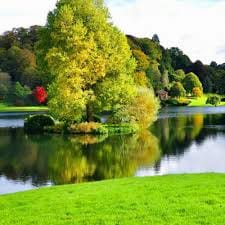 คริส หอวัง avatar