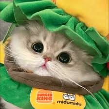 ยิ่งลักษณ์ ชินวัตร avatar